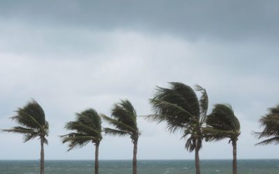 Hurricane Season: Time to Test your Business Continuity Plan?