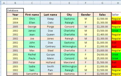 Using Excel as a Database Webinar